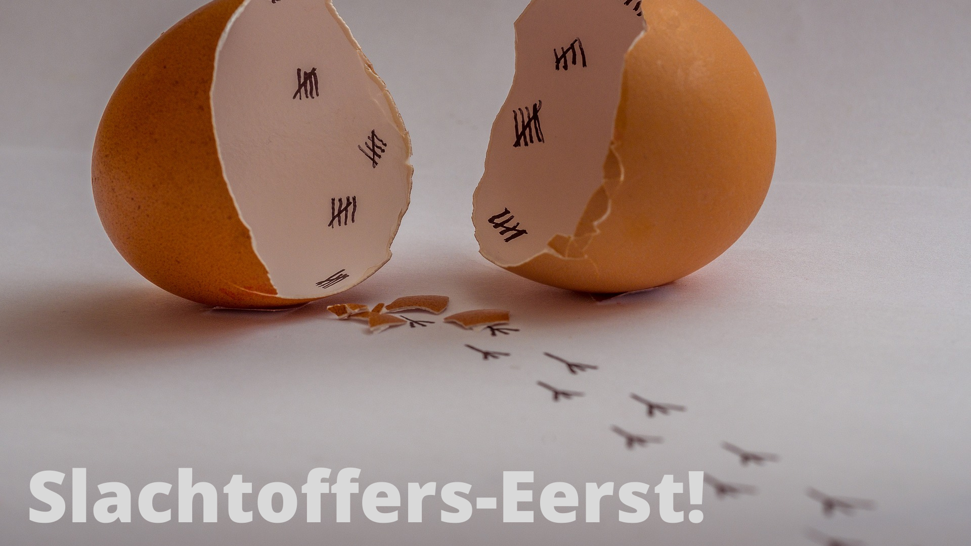 Gedupeerden Manifest: STOP schijnvonnissen!